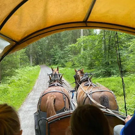 Idyllisch Ruhige U. Zentrale 3.5 Zi-Wohnung Im Waldhaus Park Daire Flims